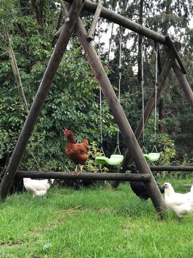 Farmhouse Eckartsberg Im Zittauer Gebirge - Ferienwohnung Mit 2 Schlafzimmern, Terrasse Und Wallbox Mittelherwigsdorf Εξωτερικό φωτογραφία