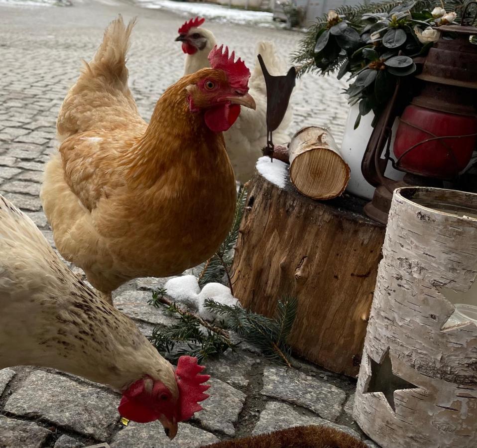 Farmhouse Eckartsberg Im Zittauer Gebirge - Ferienwohnung Mit 2 Schlafzimmern, Terrasse Und Wallbox Mittelherwigsdorf Εξωτερικό φωτογραφία